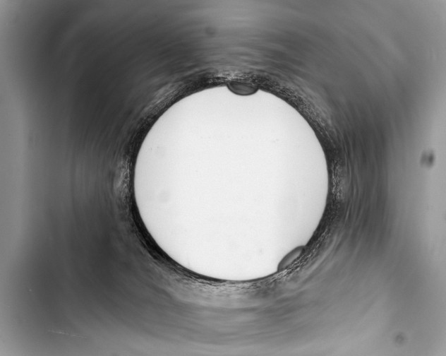 X0000103440036200810031423