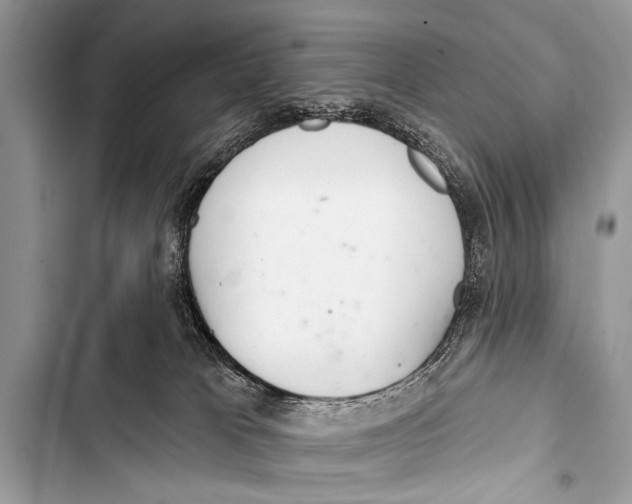 X0000103440037200810031423