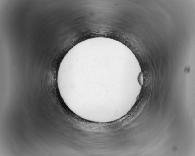 X0000103440040200810031423