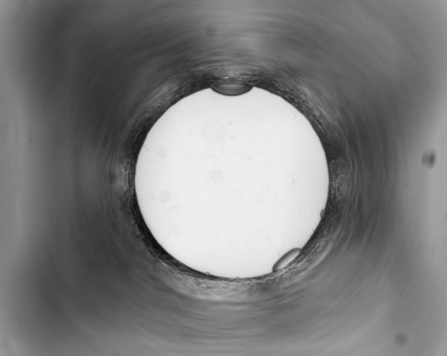 X0000103440044200810031423