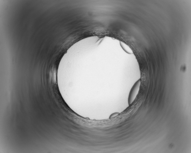 X0000103440046200810031423