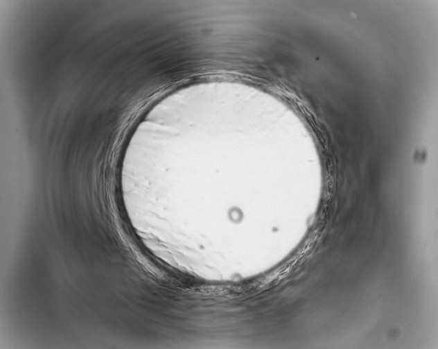 X0000103440049200810031422