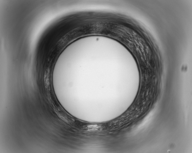X0000103440050200810031422
