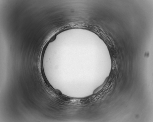 X0000103440052200810031422