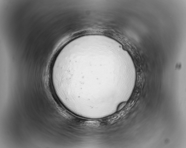 X0000103440053200810031422