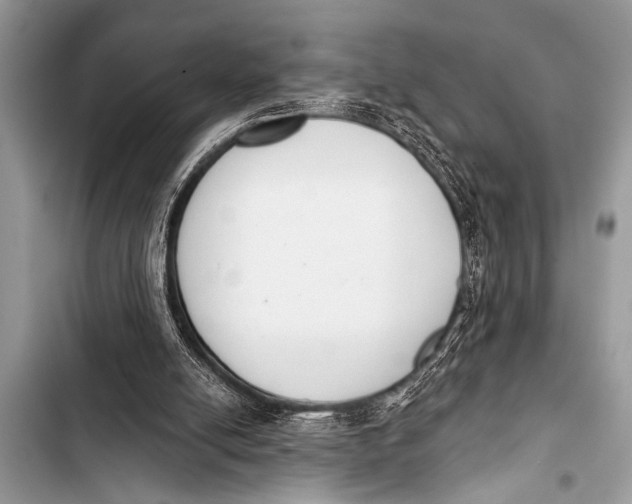 X0000103440054200810031422