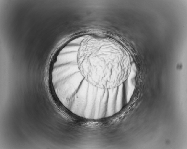 X0000103440055200810031422
