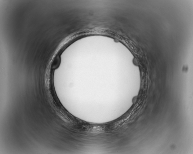 X0000103440056200810031422