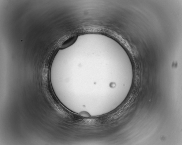 X0000103440057200810031422