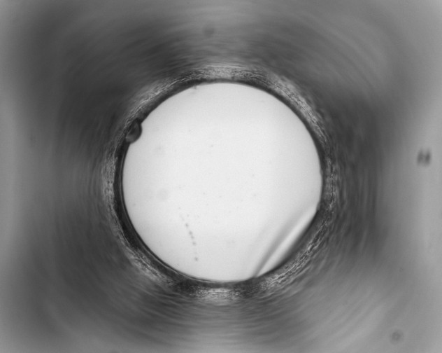 X0000103440058200810031422