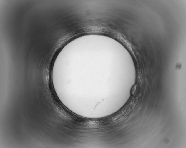 X0000103440059200810031422
