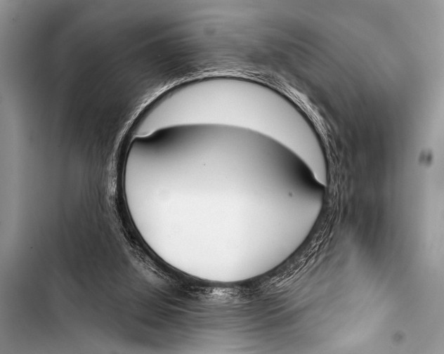 X0000103440060200810031422