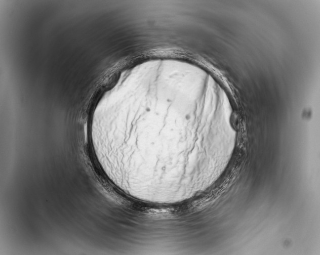 X0000103440061200810031422