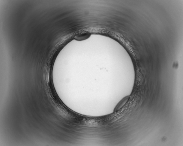 X0000103440062200810031422