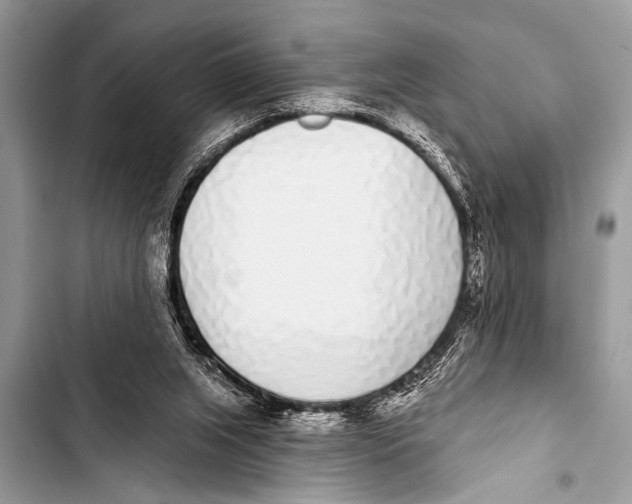 X0000103440063200810031422