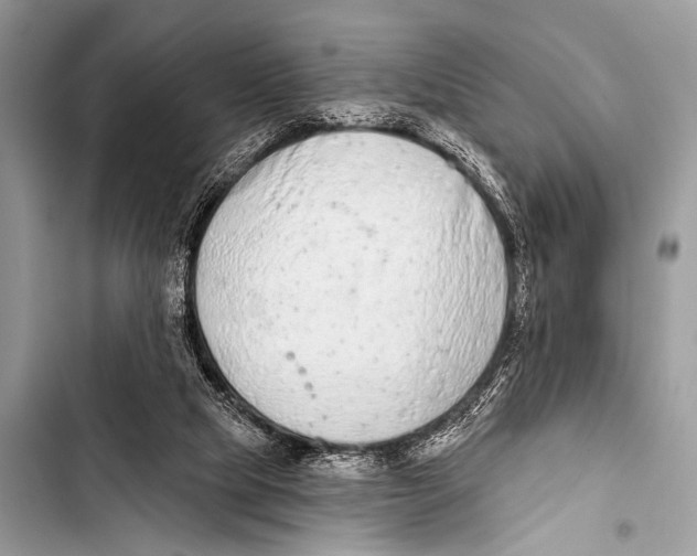 X0000103440065200810031423