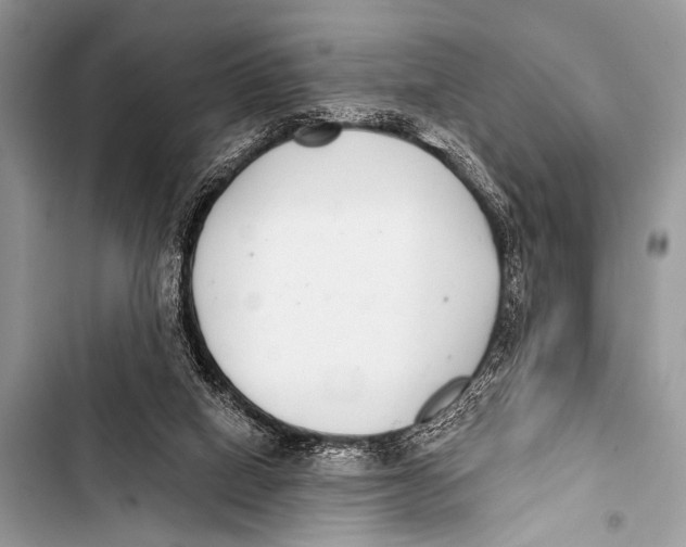 X0000103440066200810031423