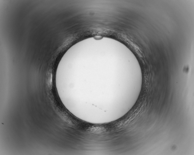 X0000103440067200810031423