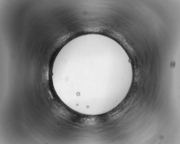 X0000103440068200810031423