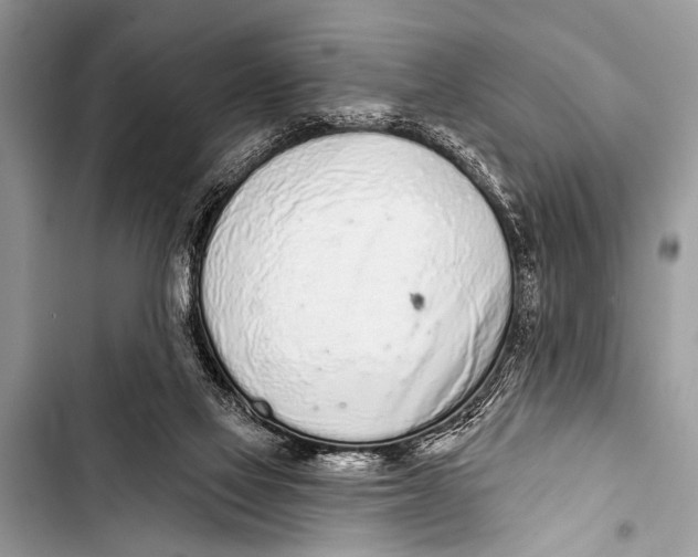 X0000103440069200810031423
