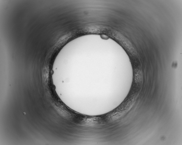 X0000103440072200810031423