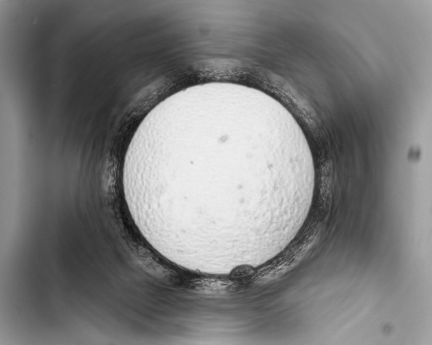 X0000103440073200810031423
