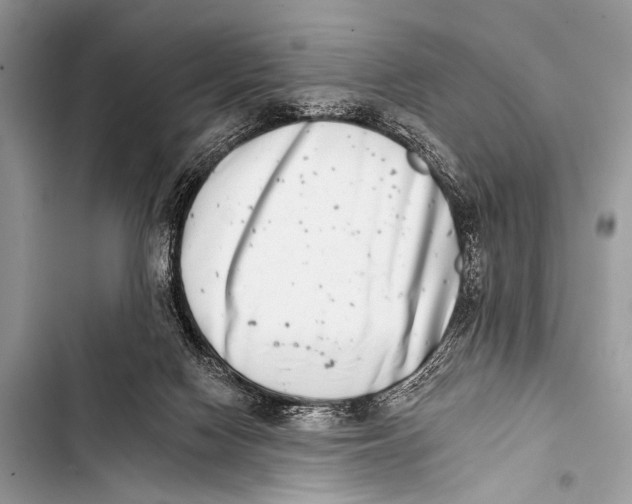 X0000103440074200810031423