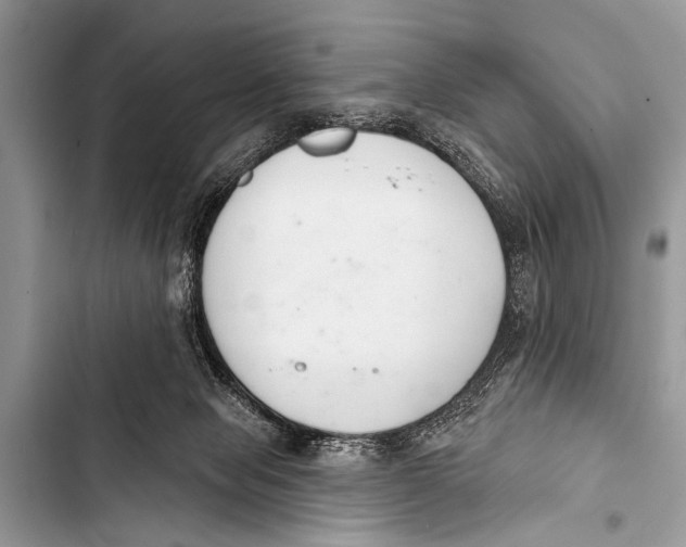 X0000103440077200810031423