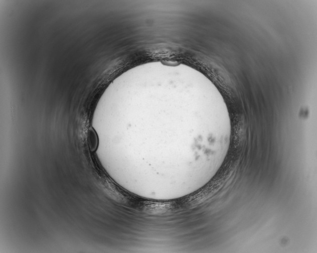 X0000103440081200810031423