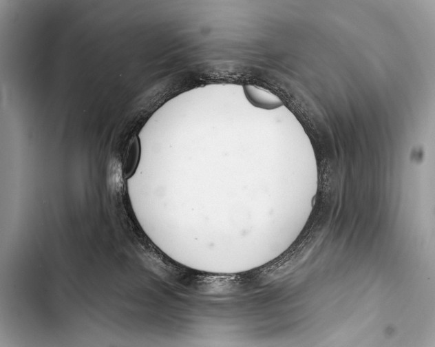 X0000103440089200810031423