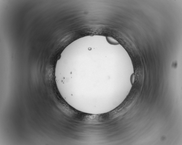 X0000103440092200810031423