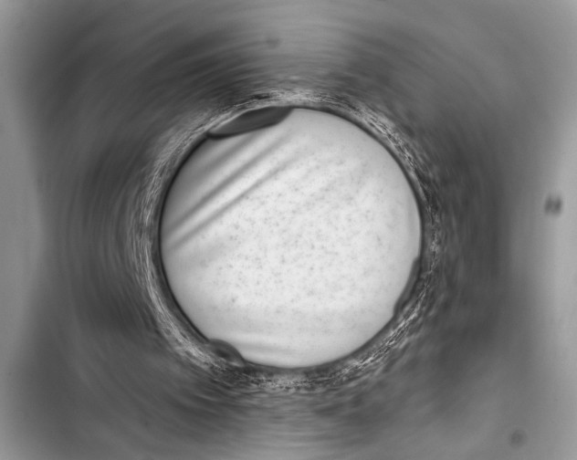 X0000103440097200810031422