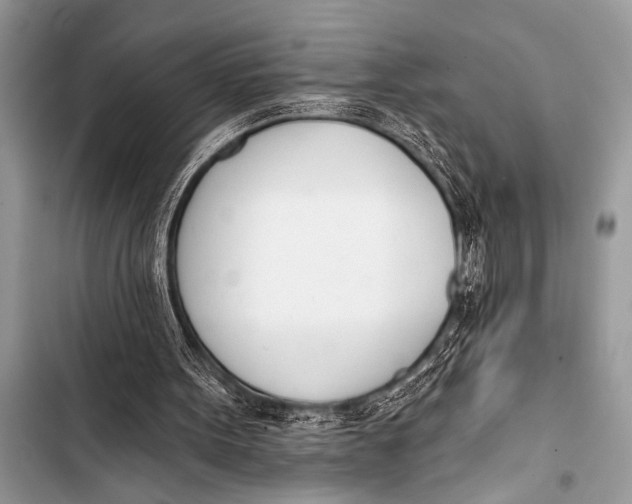 X0000103440099200810031422