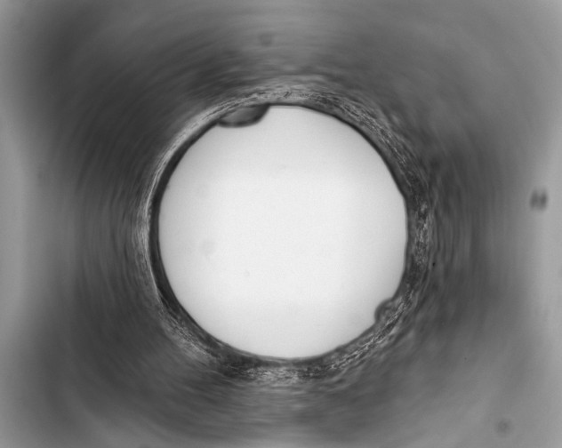 X0000103440100200810031422