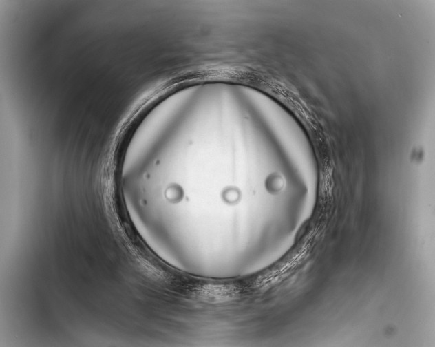 X0000103440101200810031422