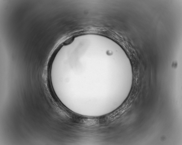 X0000103440102200810031422