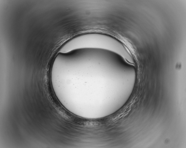 X0000103440105200810031422