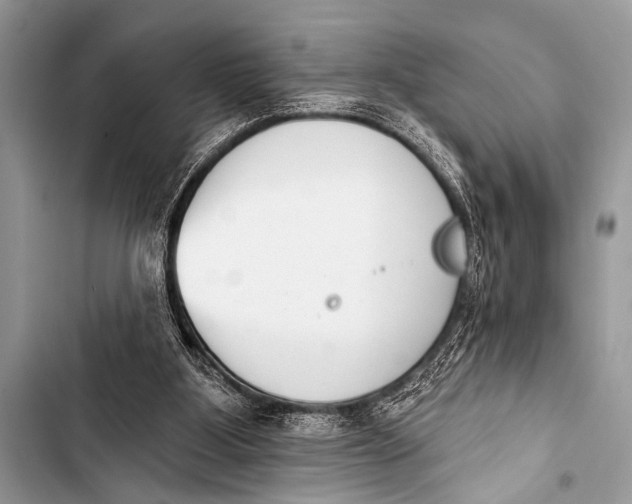 X0000103440107200810031422