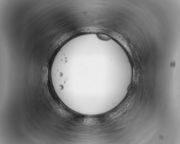 X0000103440109200810031422