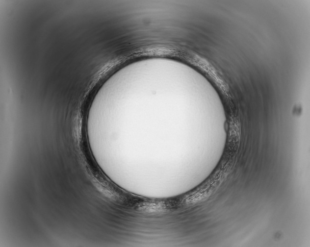 X0000103440110200810031422