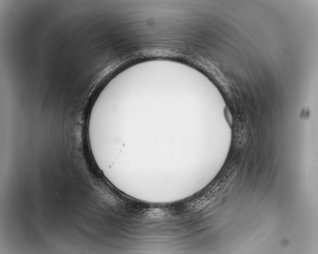 X0000103440111200810031422