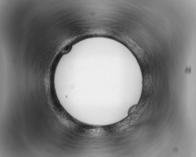 X0000103440112200810031422