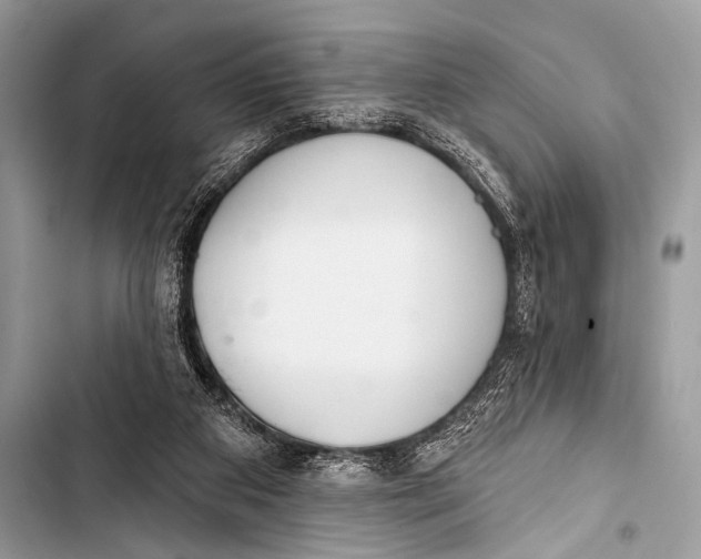 X0000103440113200810031422