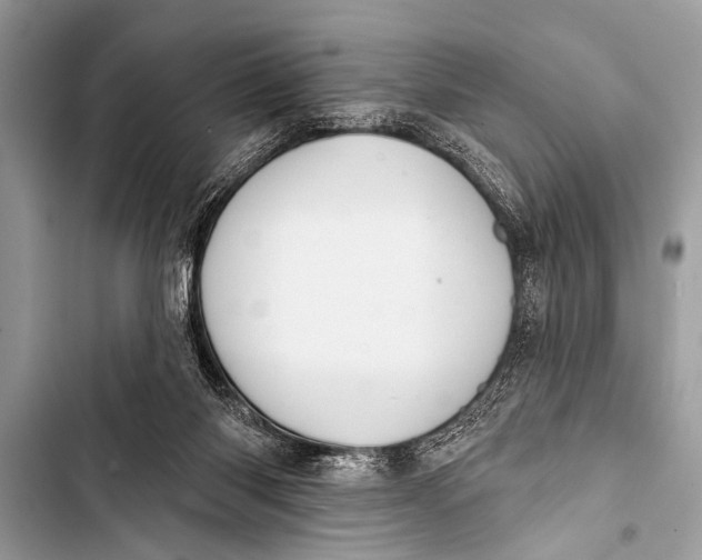 X0000103440118200810031422
