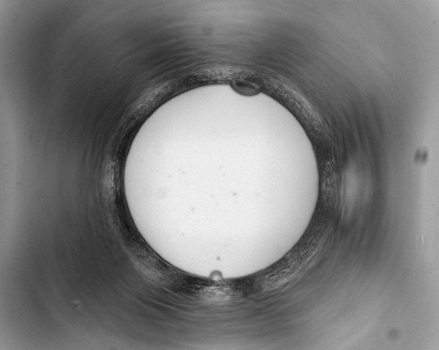 X0000103440119200810031422
