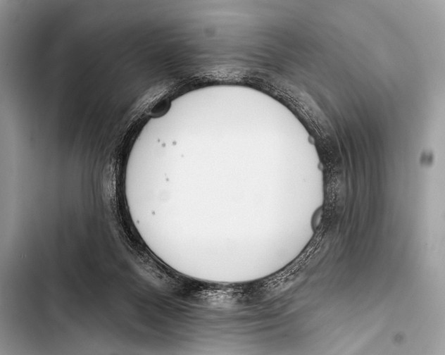 X0000103440120200810031422
