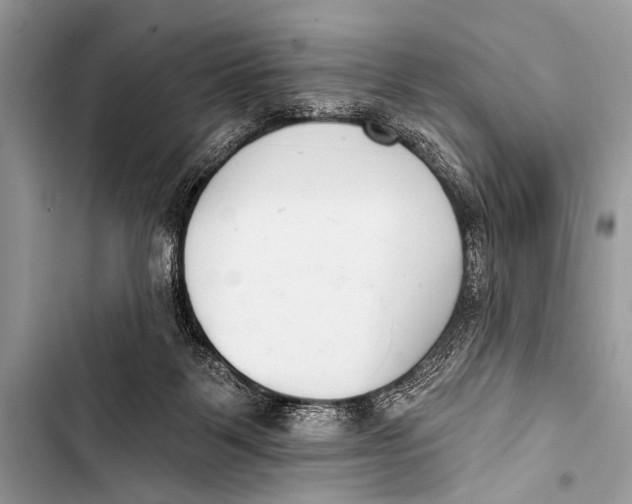 X0000103440123200810031422