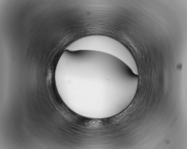 X0000103440124200810031422
