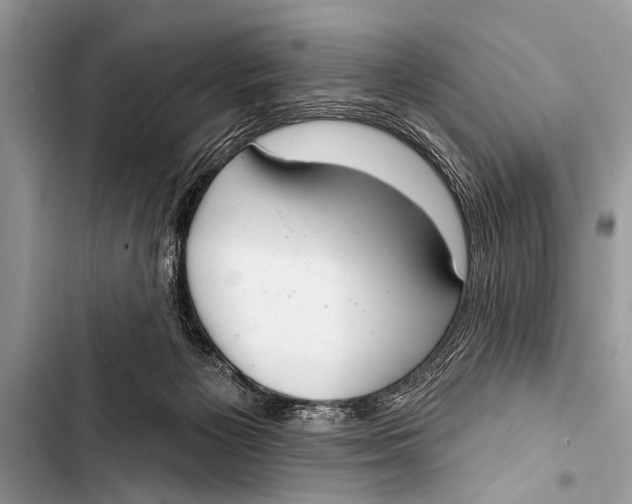X0000103440125200810031422