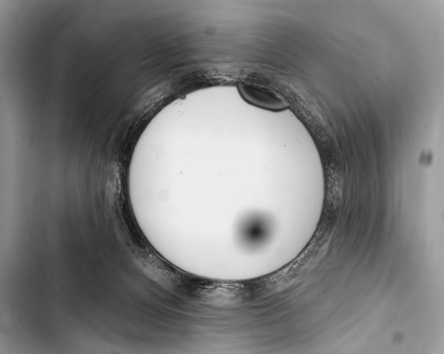 X0000103440128200810031422